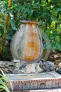 The old vase in the garden of the Ernest Hemingway Home and Museum in Key West, Florida. photo