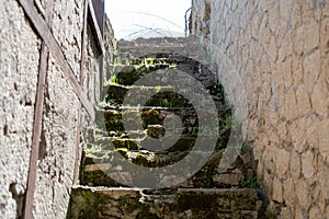 Old vegetated staircase at an ancient house in Europe