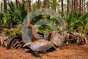 Abandoned old vehicle in a Florida forest