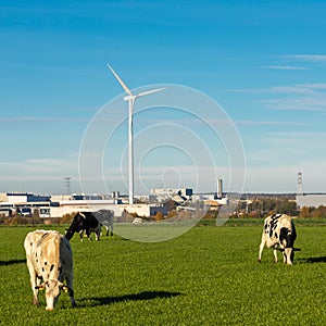 Old versus new, with a focus on the current nitrogen discussion in the Netherlands