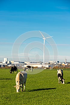 Old versus new, with a focus on the current nitrogen discussion in the Netherlands