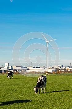 Old versus new, with a focus on the current nitrogen discussion in the Netherlands