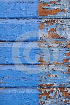 Old vibrant blue painted wooden background photo