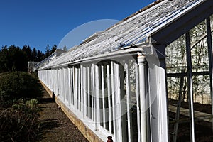 Old Victorian Greenhouse Structure in a Country Estate Garden