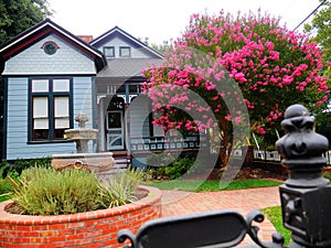 Old victorian house yard with brick pavement Myrtle tree