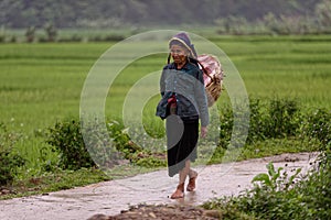 Old Vietnamese woman in Sa Pa valley