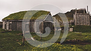 Old viking village in iceland with foggy hill. old wooden buildings covered in grass