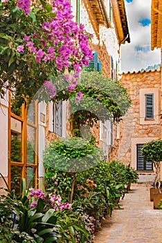 Old village alley with beautiful flowers and plants pots on Majorca island, Spain