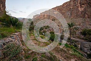 Old village in interiors of Oman