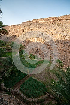 Old village in interiors of Oman