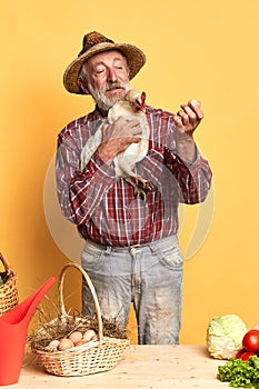 Old village man in straw hat holding chicken and watching at freshly laid eggs