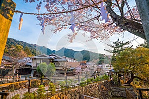 Old village withe sakura in Miyajima