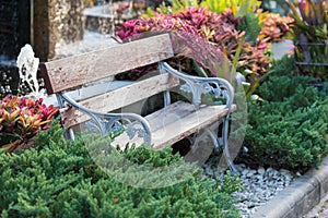 Old vintage bench in garden