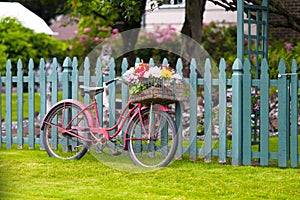 Old vintage bicycle with basket of flowers in baggage