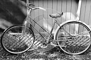 Old Vintage Bicycle in Black and White