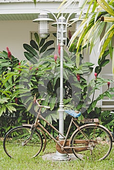 A old vintage bicycle breakdown is parked beside electric pole for decoration in garden, vintage tone and vertical view.