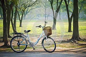 Old vintage bicycle in public park with green nature concept