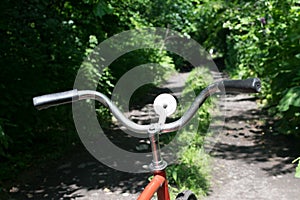 Old vintage bicycle in summer wild forest with tall grass