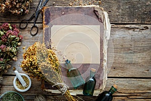 Old vintage book, tincture bottles, assortment of bunches of dry medicinal herbs, mortar. Herbal medicine.