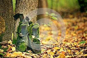 Old vintage boots in autmn leaves