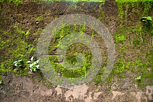 Old vintage bricks pattern background