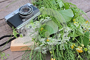 Old vintage camera, bunch of green wild plants and yellow buttercups flowers on an open book. Summer still life