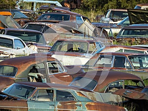 Old VIntage Car, Cars, Junkyard