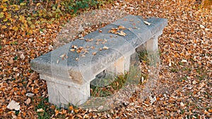 Old vintage concrete bench in park of the Nymphenburg Palace in Munich in autumn, surrounded by dry, fallen foliage
