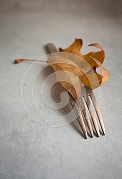 Old vintage dining fork lying in a wrapped dry autumn leaf on a light gray toned textured background.