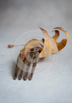 An old vintage dining fork served in a wrapped dry autumn leaf on a light gray textured background. Creative concept.