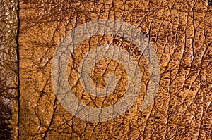 Old vintage genuine soft brown leather texture background, top layer with pores and scratches, macro, close-up