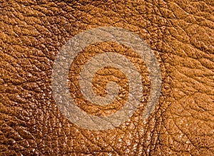 Old vintage genuine soft brown leather texture background, top layer with pores and scratches, macro, close-up