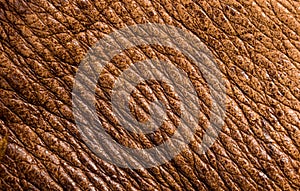 Old vintage genuine soft brown leather texture background, top layer with pores and scratches, macro, close-up