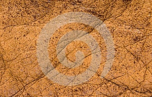 Old vintage genuine soft brown leather texture background, top layer with pores and scratches, macro, close-up