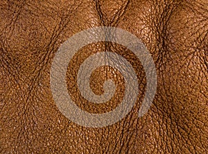 Old vintage genuine soft brown leather texture background, top layer with pores and scratches, macro, close-up