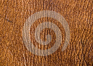 Old vintage genuine soft brown leather texture background, top layer with pores and scratches, macro, close-up