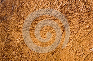 Old vintage genuine soft brown leather texture background, top layer with pores and scratches, macro, close-up