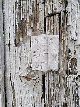 Old vintage gray natural wood or wooden texture background or conceptual