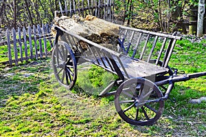 Old vintage horse or donkey cart close up