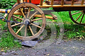 Old vintage horse or donkey cart close up