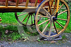 Old vintage horse or donkey cart close up