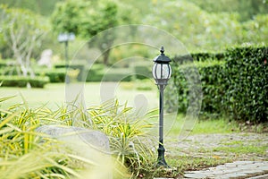 Old Vintage Lamp in garden.