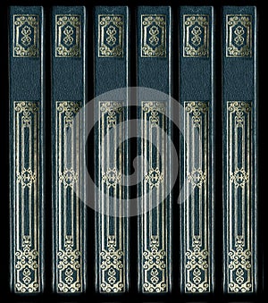 Old vintage leather book spines photo