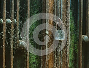 Old vintage lock on the door covered with cobwebs. sinister look