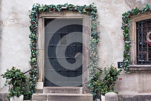 Old vintage metalic door entwined with a plant