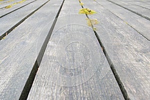 Old vintage planked wood