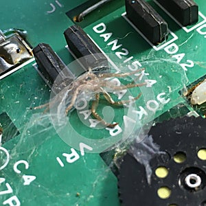 Old vintage printed circuit board with electronic components. Closeup with spider. Dirty, conductor