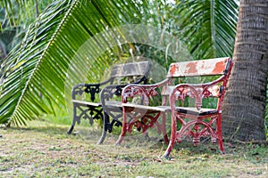 Old vintage red and black wooden benches in the park