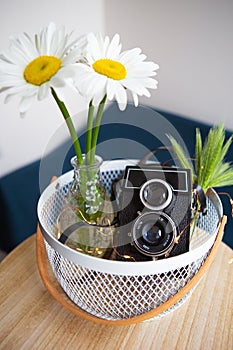 Old vintage rustic camera with a bouquet of daisy flowers on a wooden board