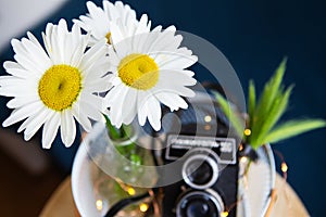 Old vintage rustic camera with a bouquet of daisy flowers on a wooden board